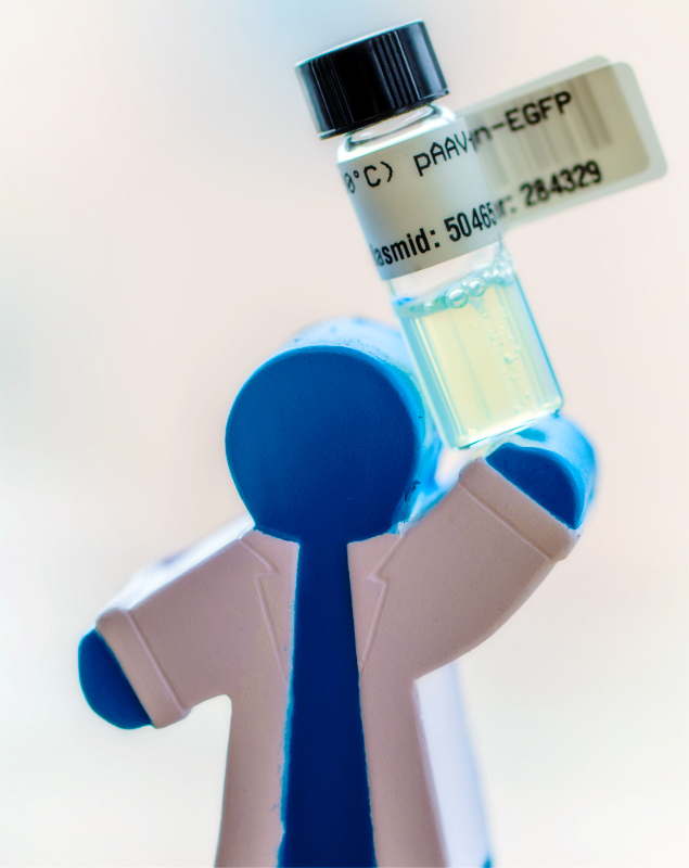 Bluegene Lifting Glycerol Stock